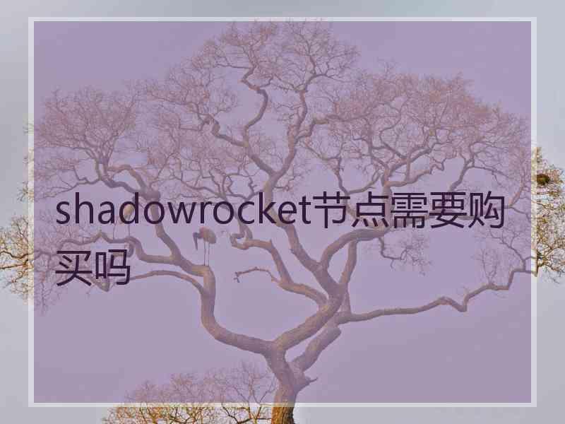 shadowrocket节点需要购买吗