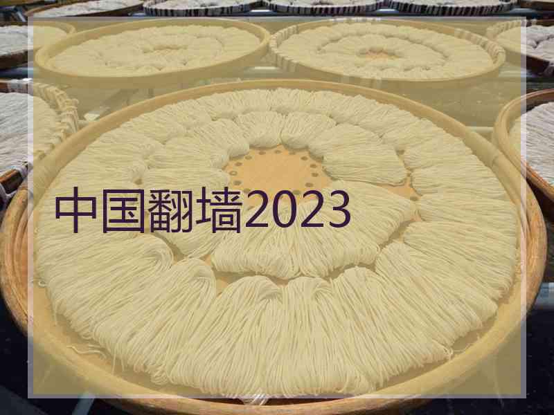 中国翻墙2023