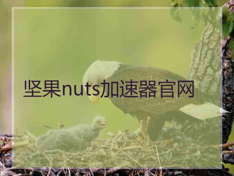 坚果nuts加速器官网