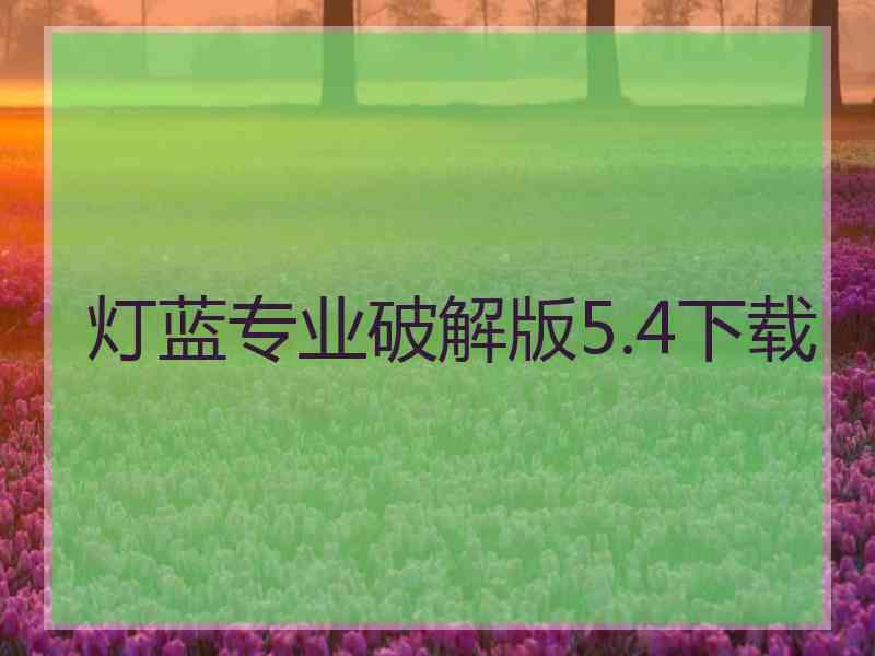 灯蓝专业破解版5.4下载