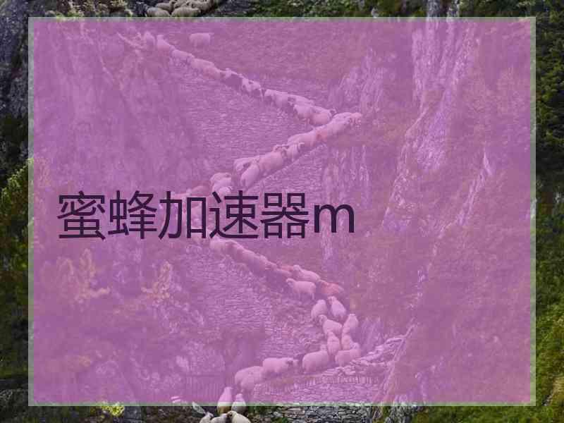 蜜蜂加速器m