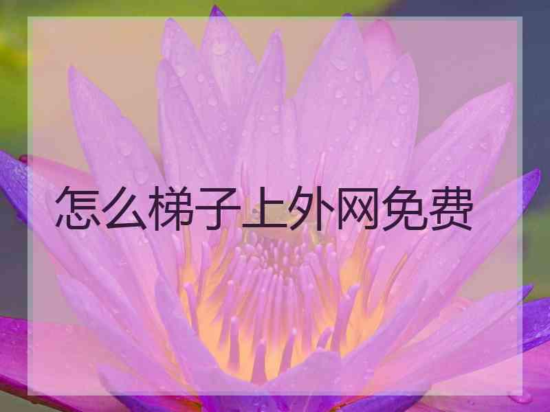 怎么梯子上外网免费