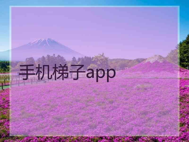 手机梯子app