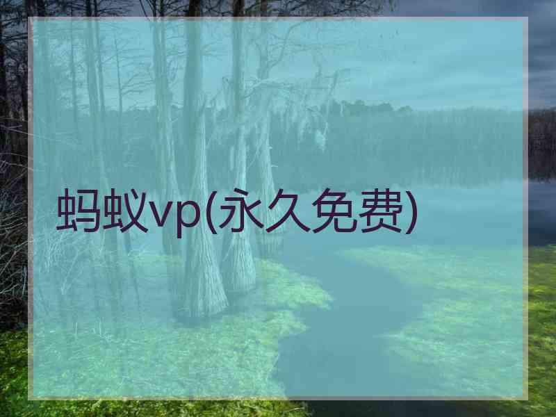 蚂蚁vp(永久免费)