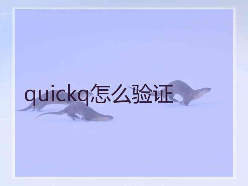 quickq怎么验证