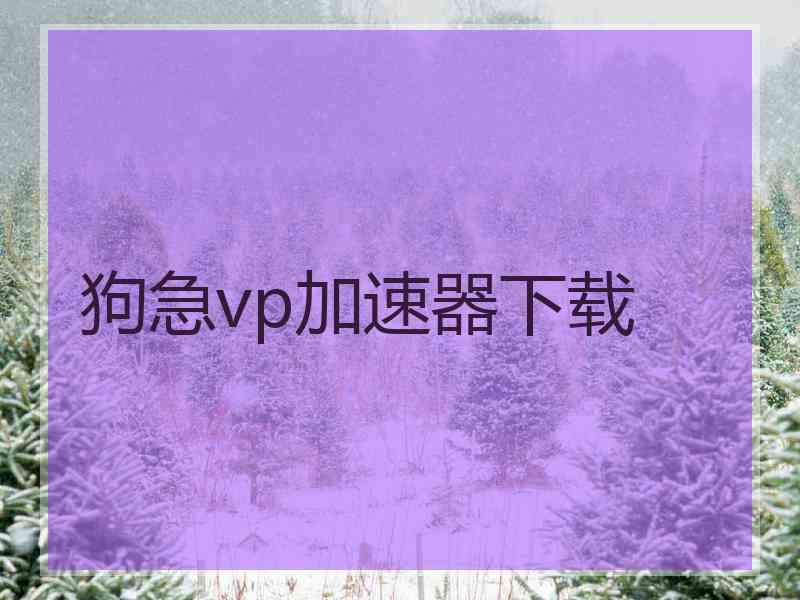 狗急vp加速器下载