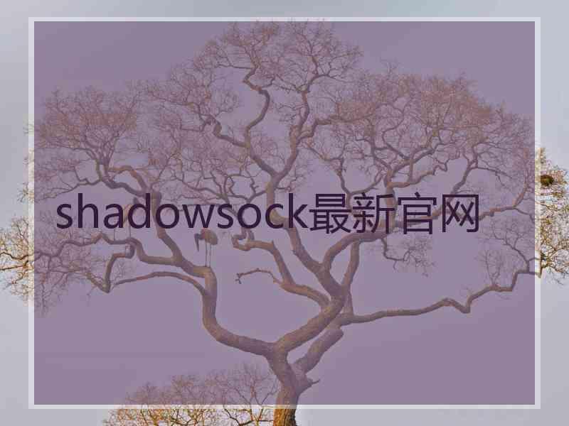 shadowsock最新官网