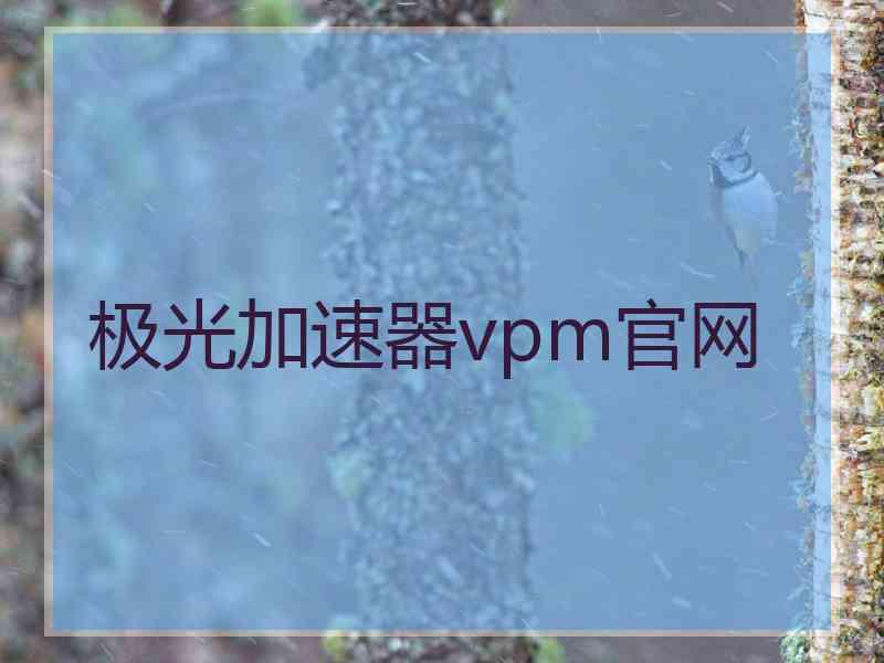 极光加速器vpm官网