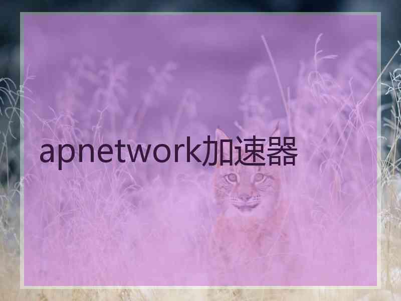 apnetwork加速器