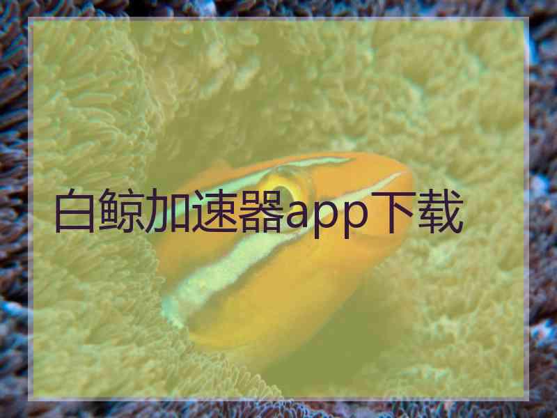 白鲸加速器app下载