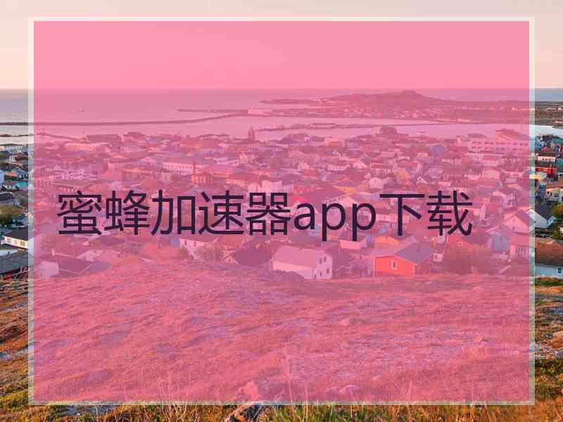 蜜蜂加速器app下载