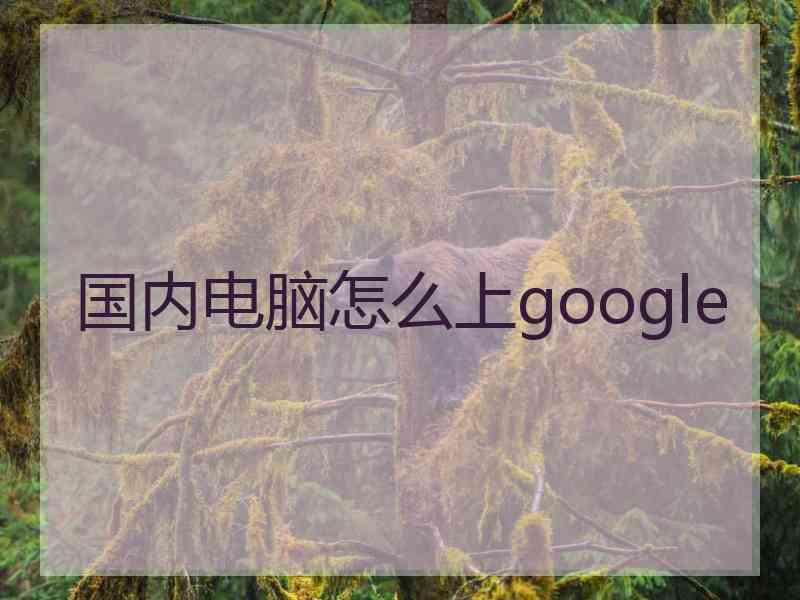 国内电脑怎么上google