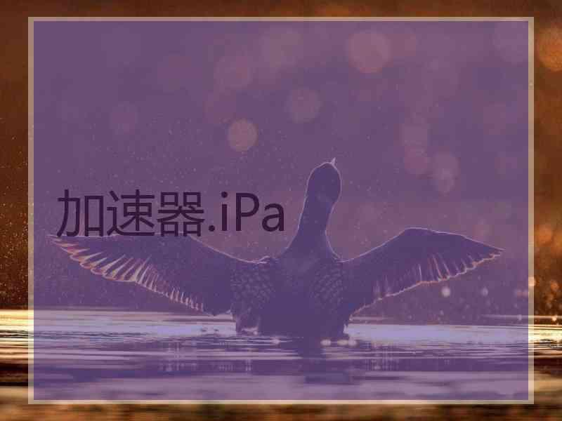 加速器.iPa