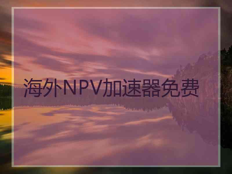 海外NPV加速器免费