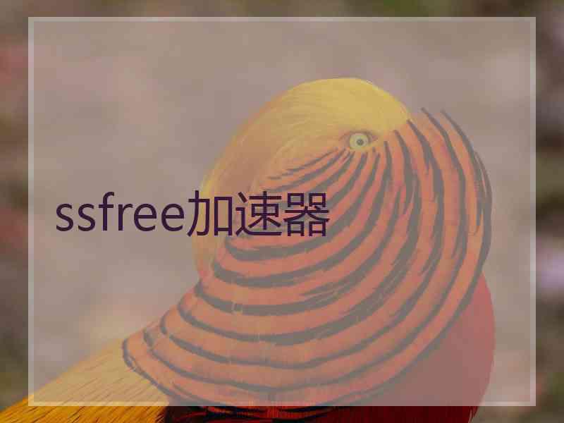 ssfree加速器