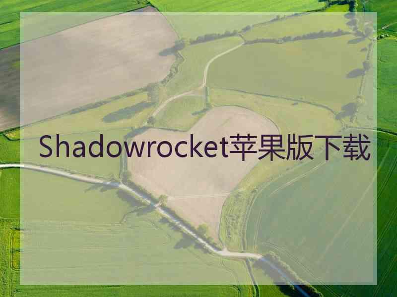 Shadowrocket苹果版下载