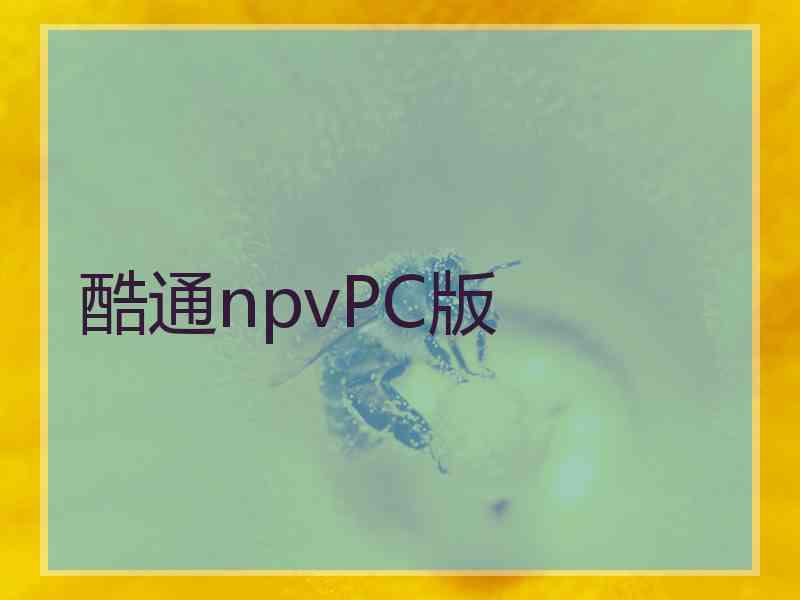 酷通npvPC版