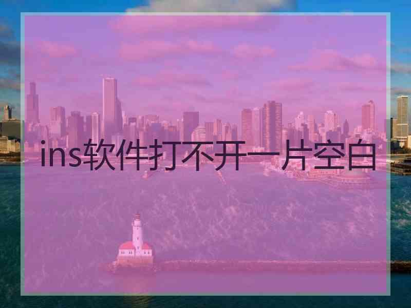 ins软件打不开一片空白