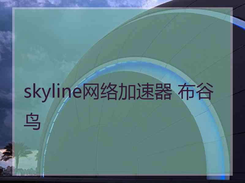 skyline网络加速器 布谷鸟