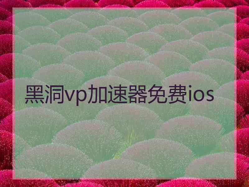 黑洞vp加速器免费ios