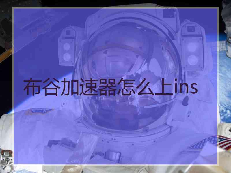 布谷加速器怎么上ins