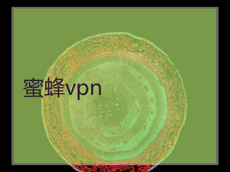 蜜蜂vpn