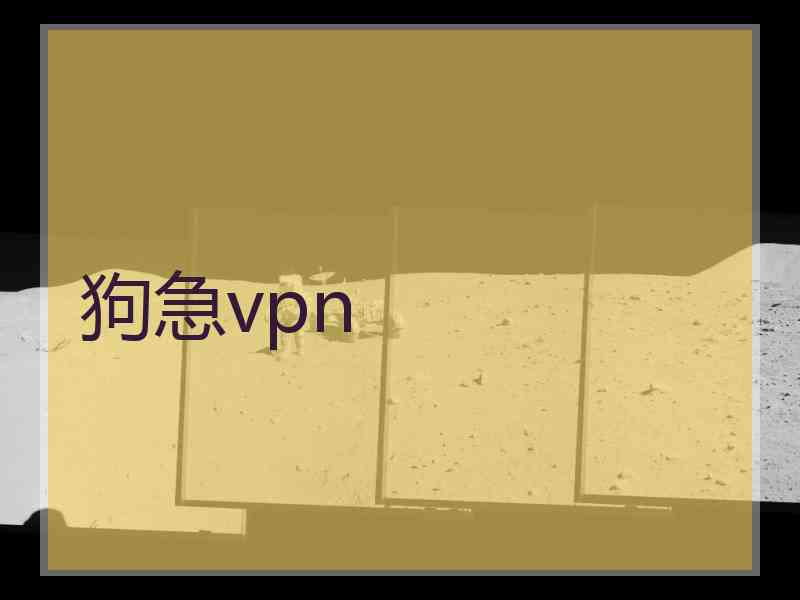 狗急vpn