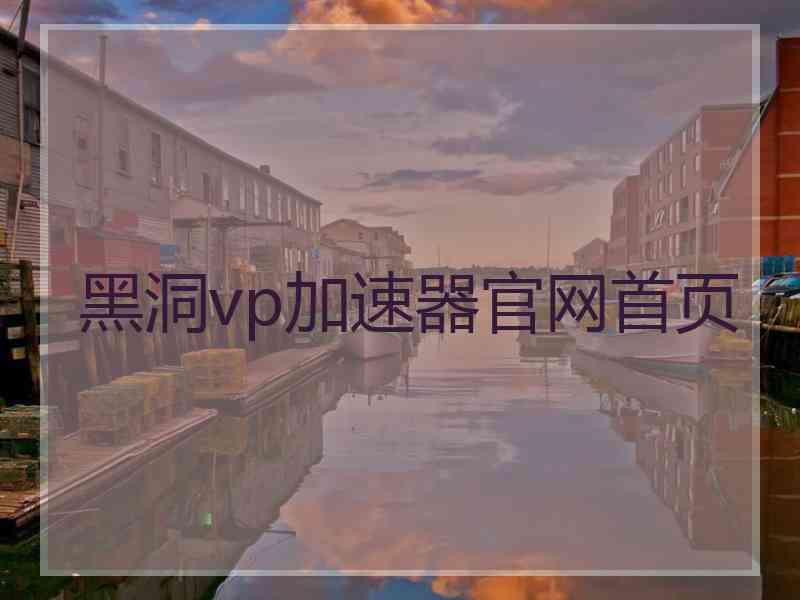 黑洞vp加速器官网首页