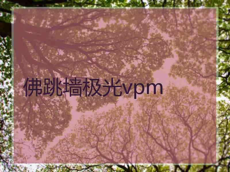 佛跳墙极光vpm