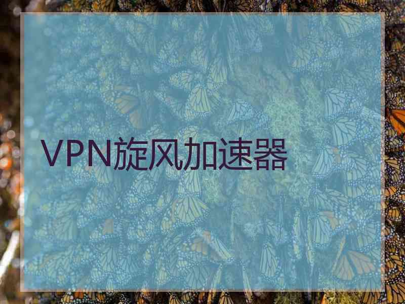 VPN旋风加速器