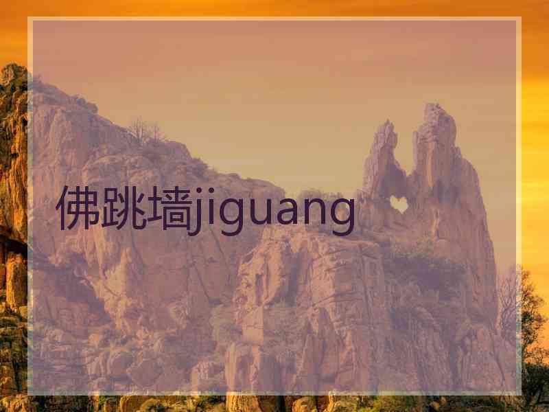 佛跳墙jiguang