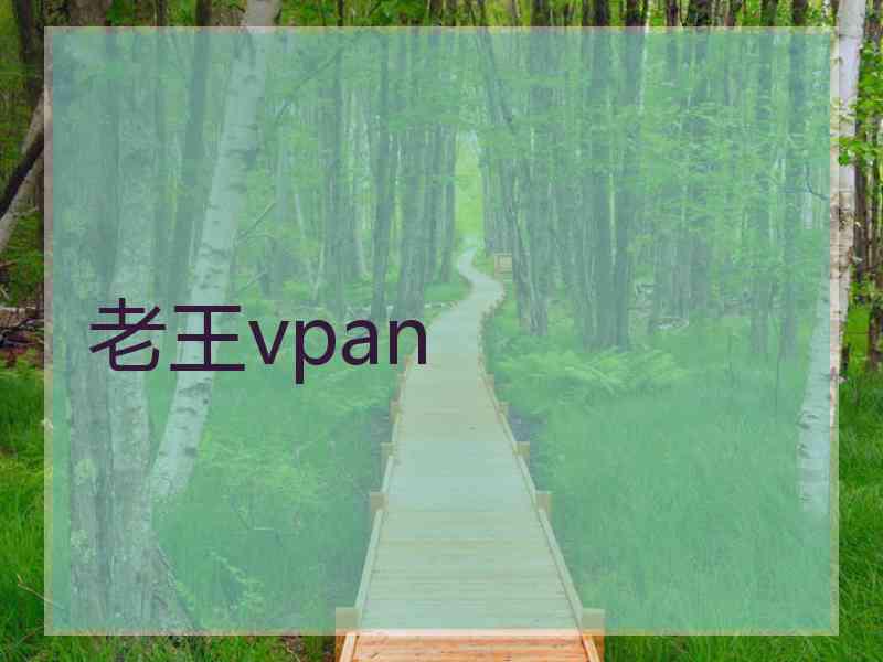 老王vpan