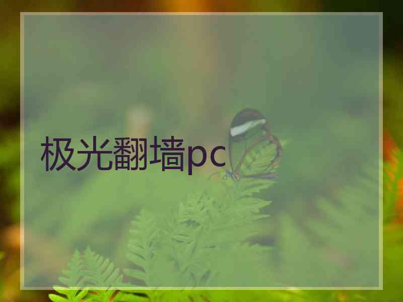 极光翻墙pc