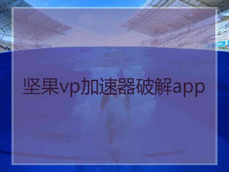 坚果vp加速器破解app