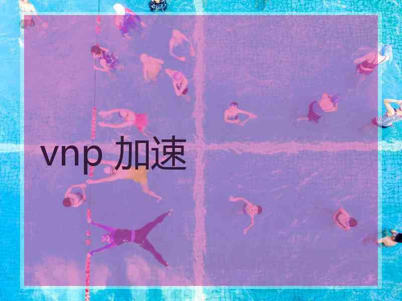 vnp 加速