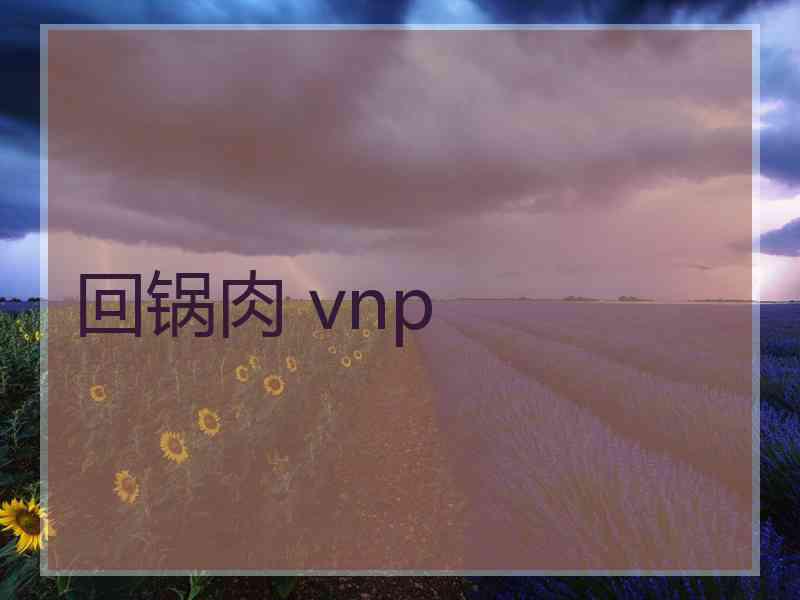 回锅肉 vnp