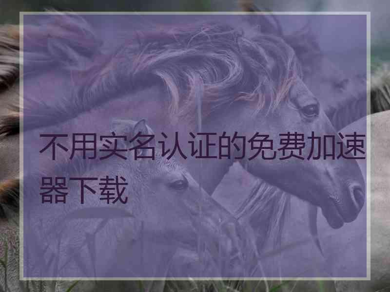 不用实名认证的免费加速器下载