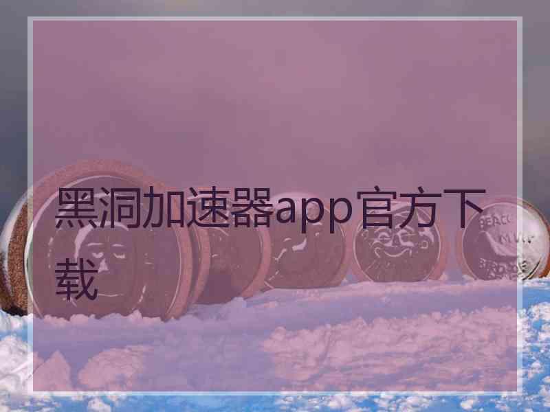 黑洞加速器app官方下载