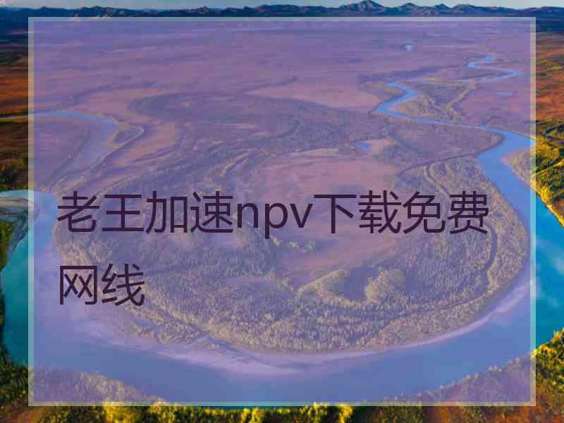 老王加速npv下载免费网线