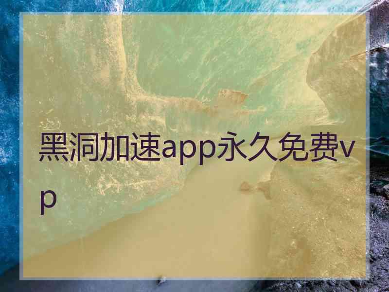 黑洞加速app永久免费vp