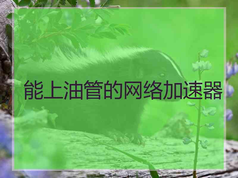 能上油管的网络加速器