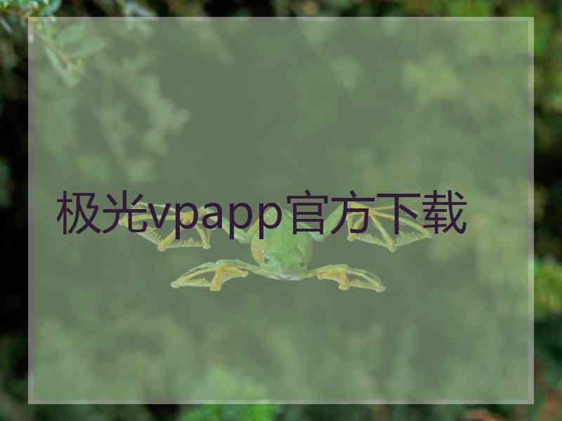 极光vpapp官方下载