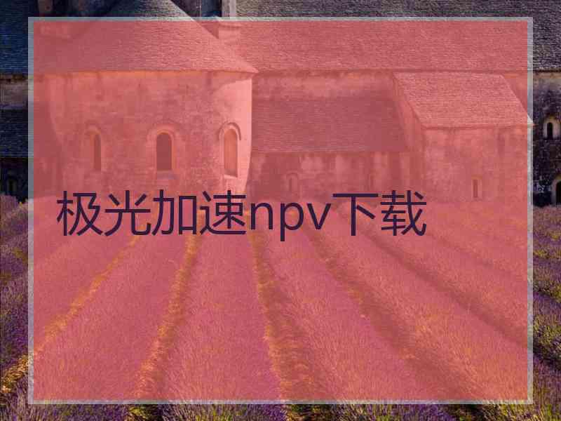 极光加速npv下载