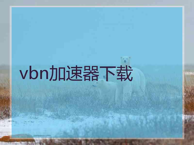 vbn加速器下载