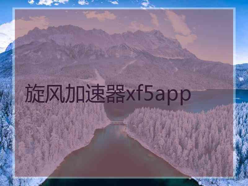 旋风加速器xf5app