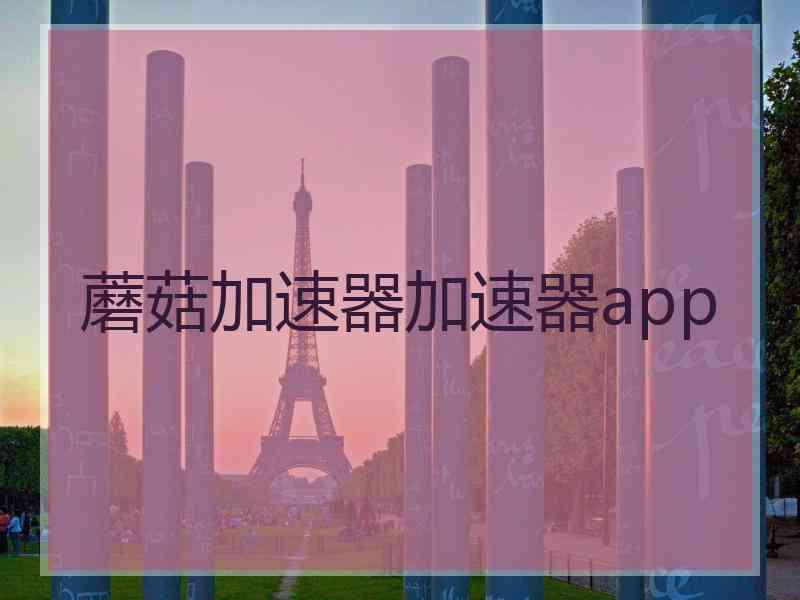 蘑菇加速器加速器app