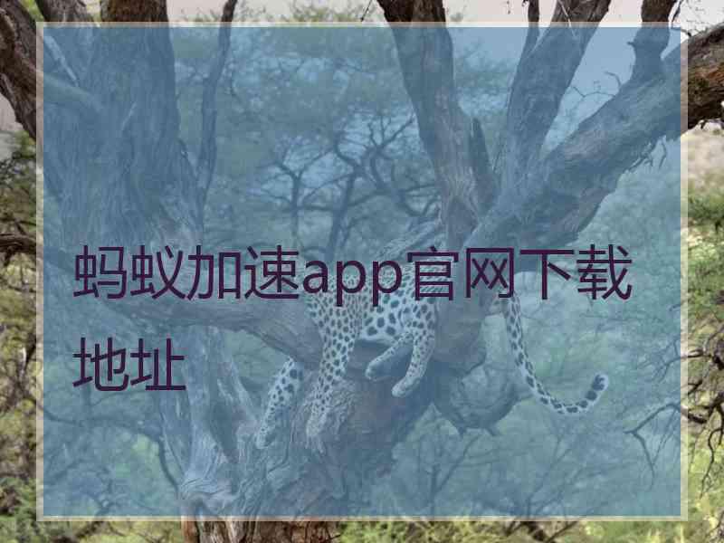 蚂蚁加速app官网下载地址