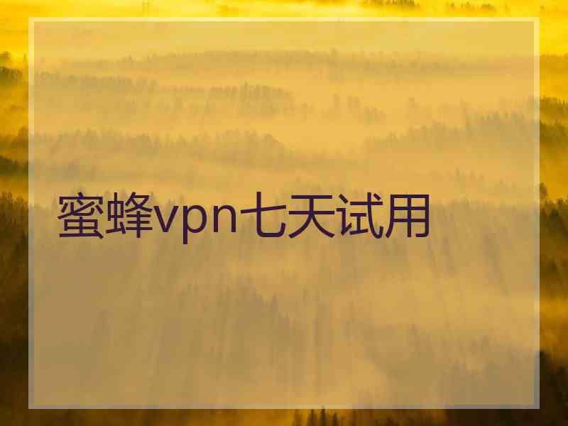 蜜蜂vpn七天试用