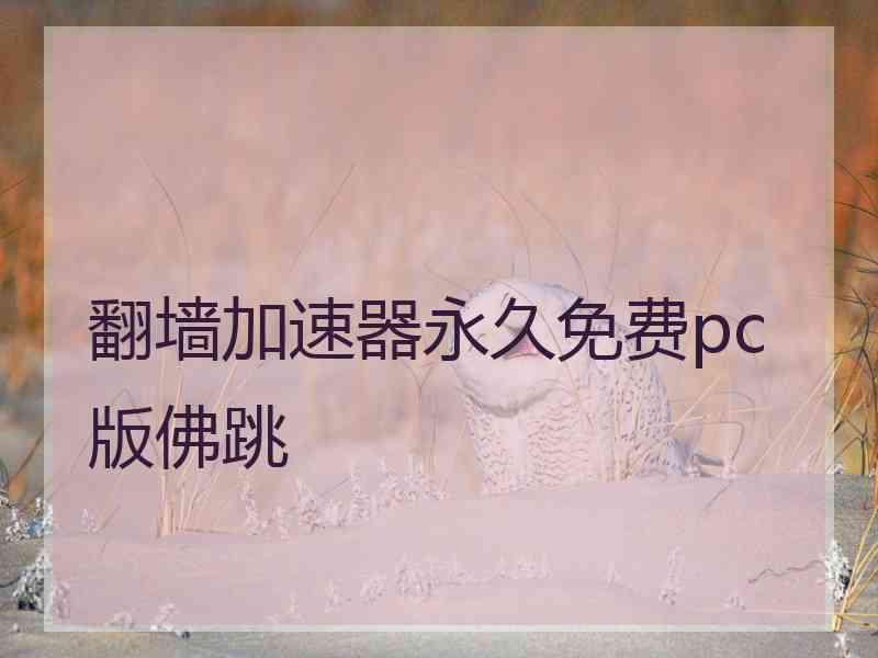 翻墙加速器永久免费pc版佛跳