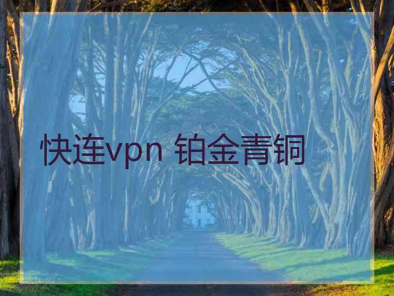 快连vpn 铂金青铜